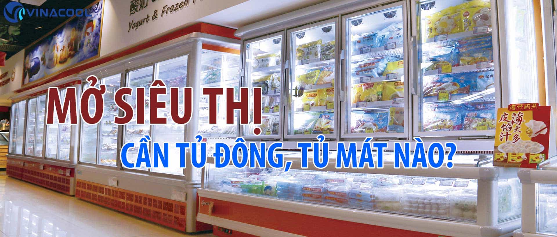 Mở siêu thị cần những loại tủ mát, tủ đông trưng bày nào?