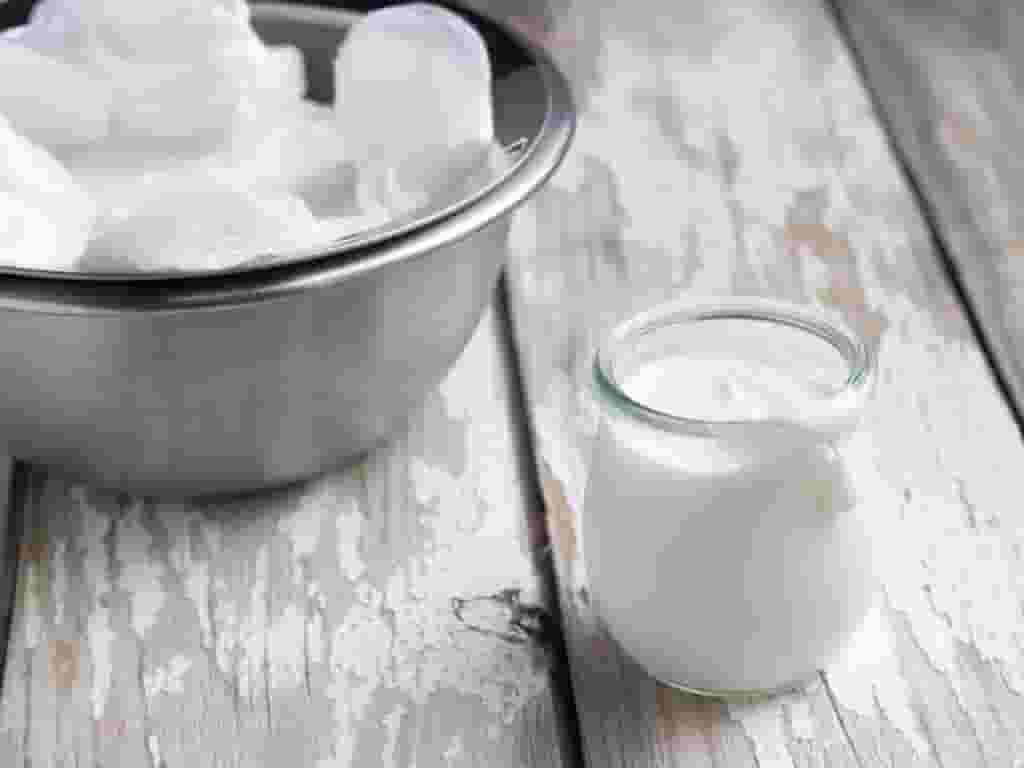 Sữa chua nấm kefir