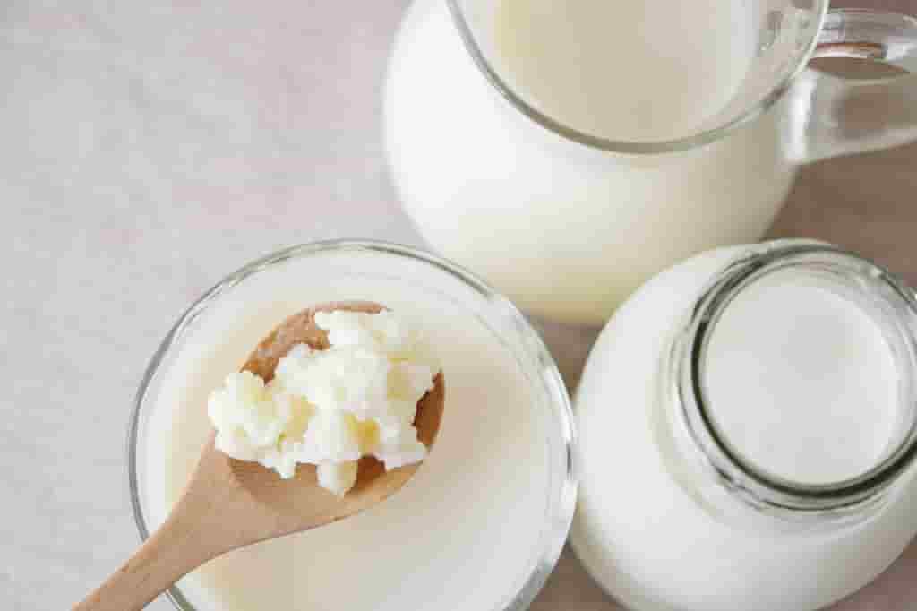 Luôn thận trọng trong việc bảo quản nấm Kefir và sữa chua kefir