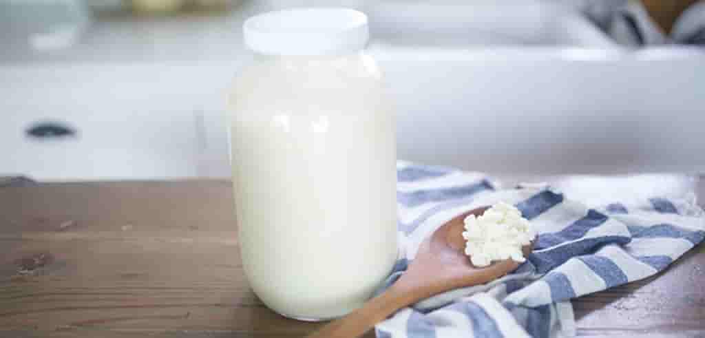 Phương Pháp làm sữa chua nấm Kefir