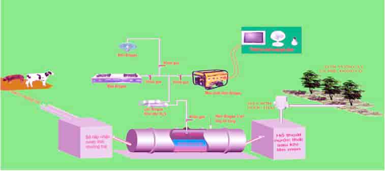mô hình biogas, xử lý nước thải, xử lý chất thải biogas, hệ thống biogas